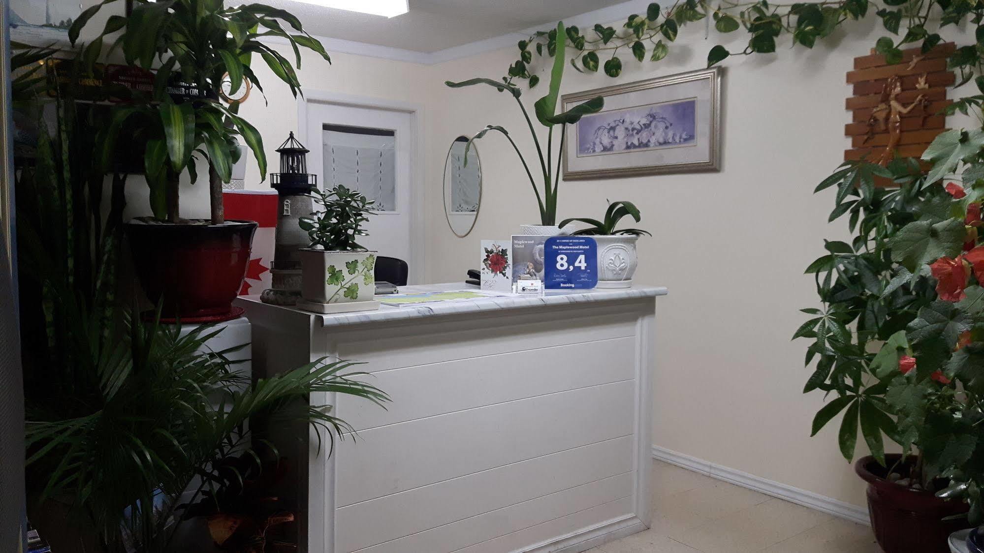 The Maplewood Motel Port Elgin Ngoại thất bức ảnh